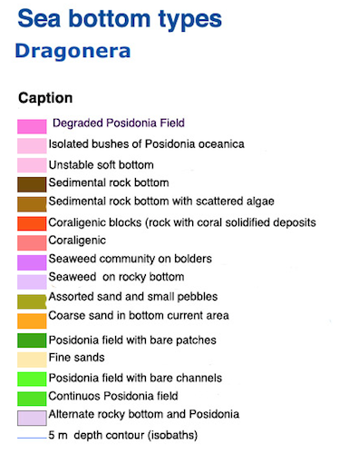 Image for article Maps of areas to avoid Posidonia weed made available